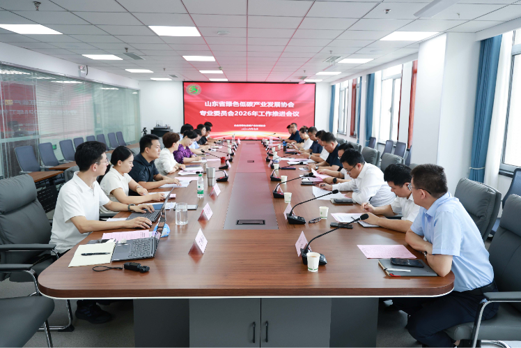 王向东提出“六个实”要求：专委会从“挂牌”走向“实干”